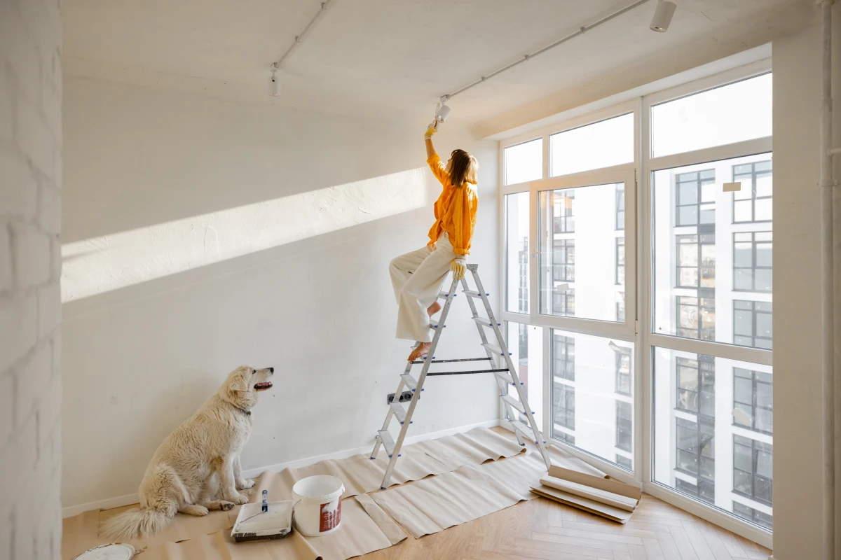 Le Droit au Logement Opposable : Un Bouclier Social Méconnu